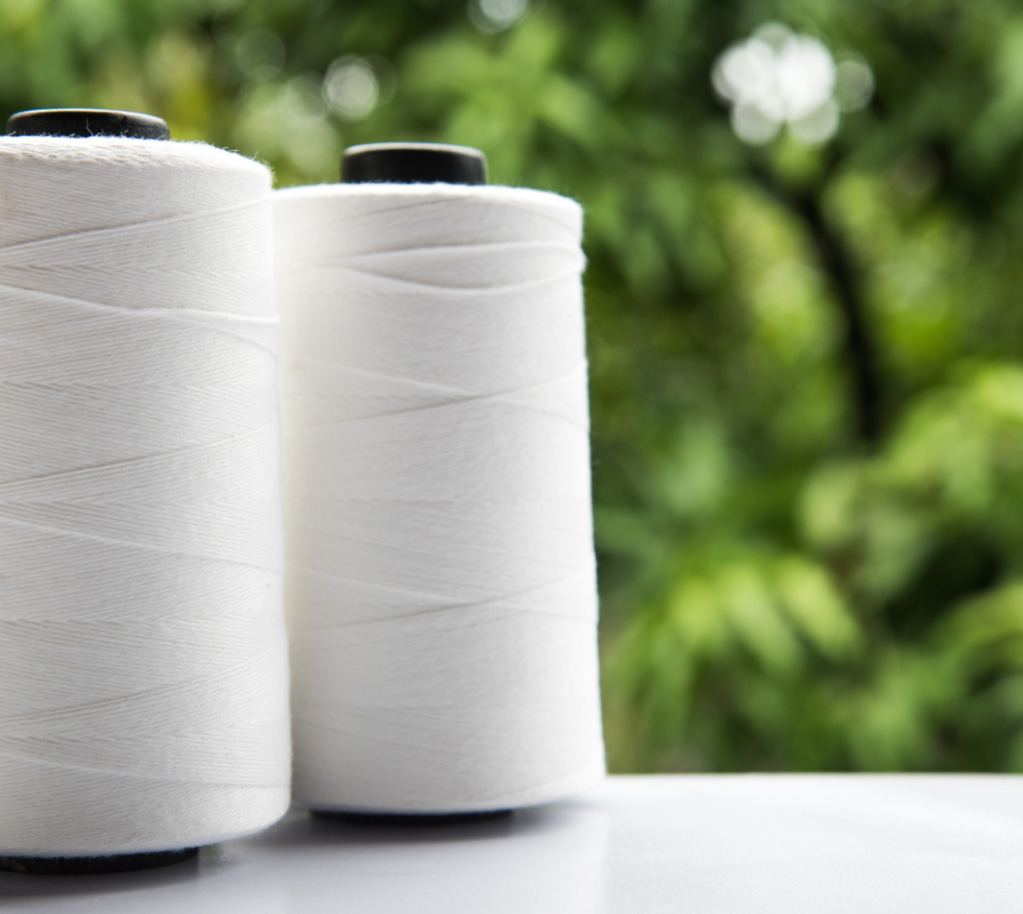 Yarn Manufacturer, Sanathan Textiles files for IPO, to raise 1300